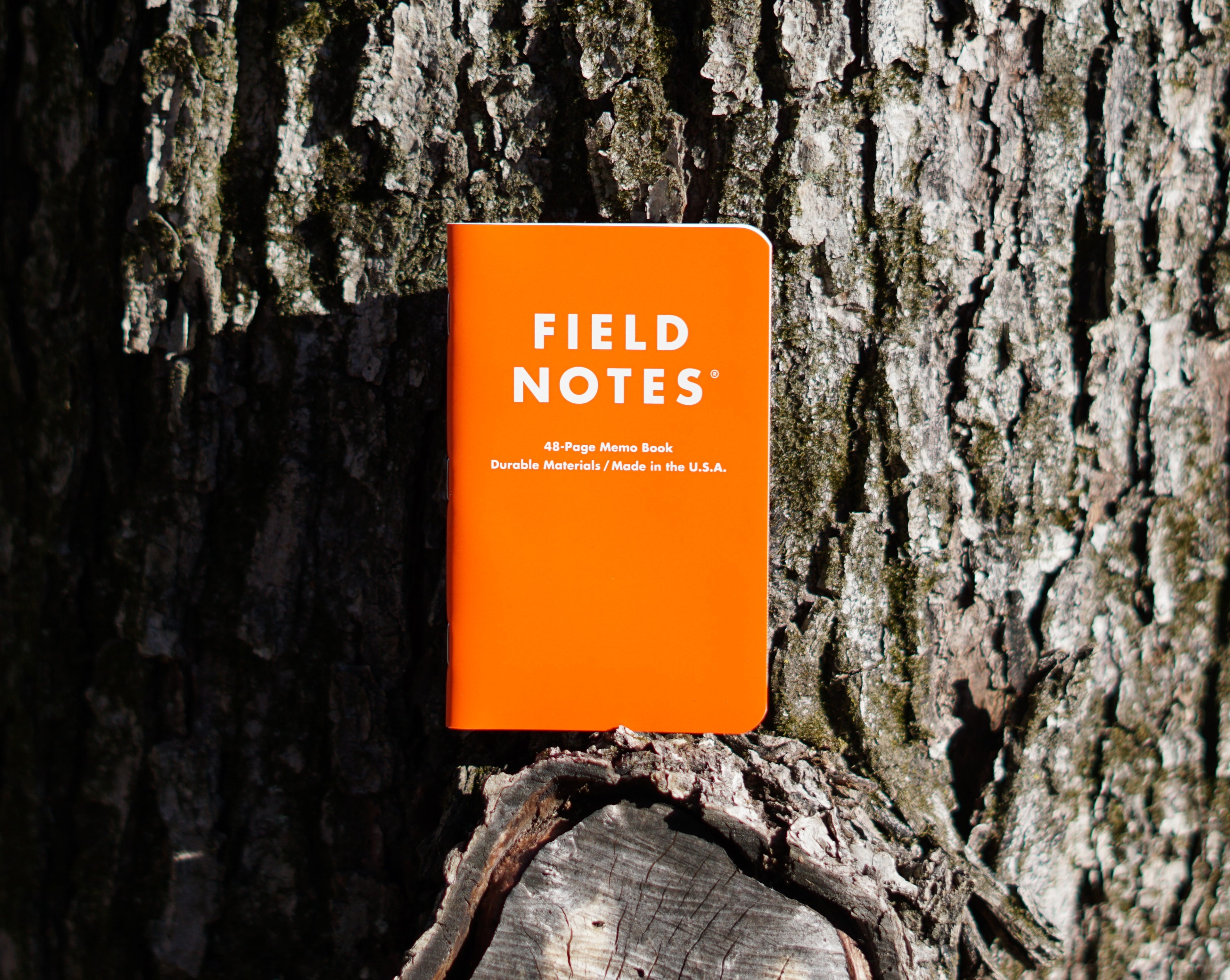 Expedition Field Notes - Dot Graph