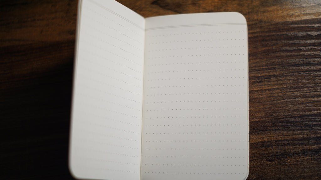 Vintage Field Notes - Dot Graph