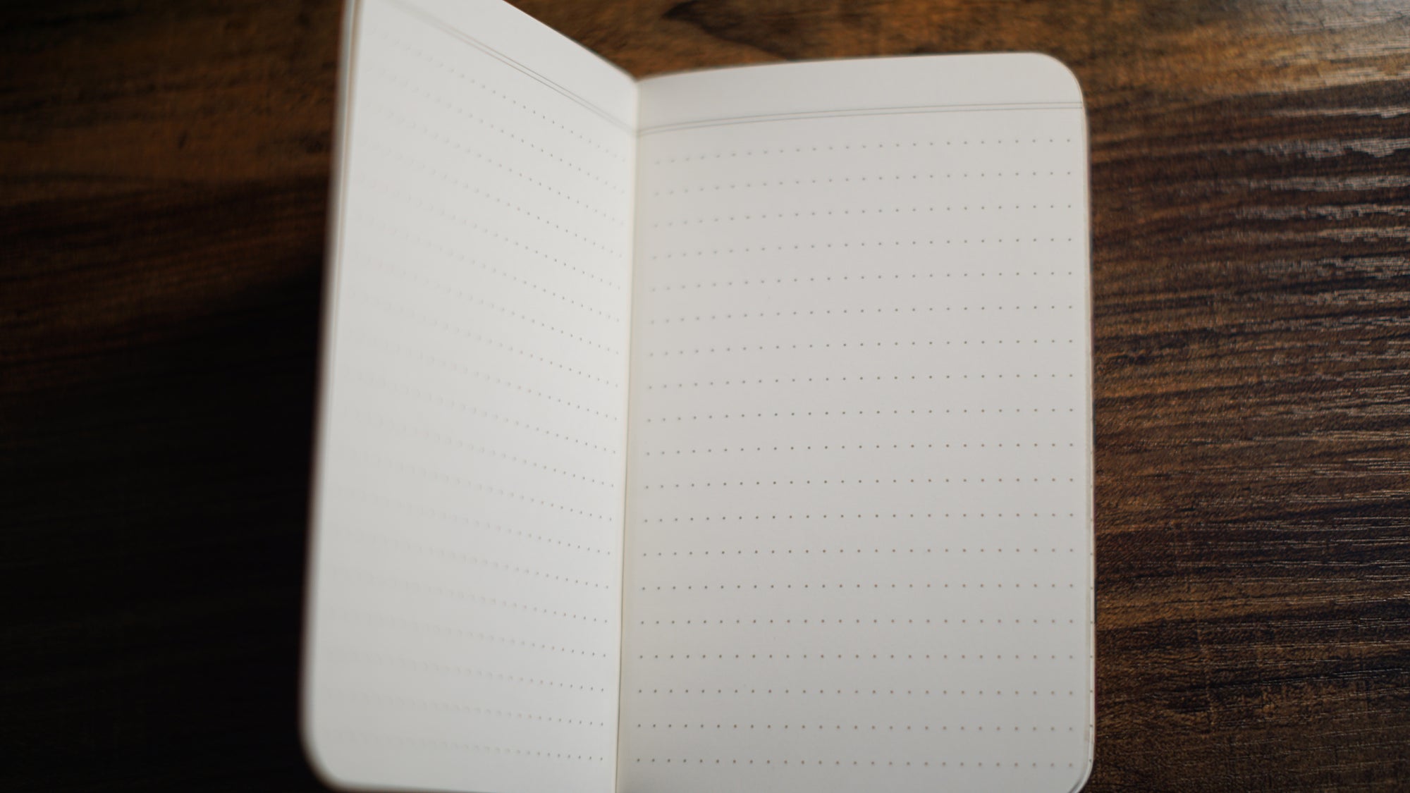 Vintage Field Notes - Dot Graph