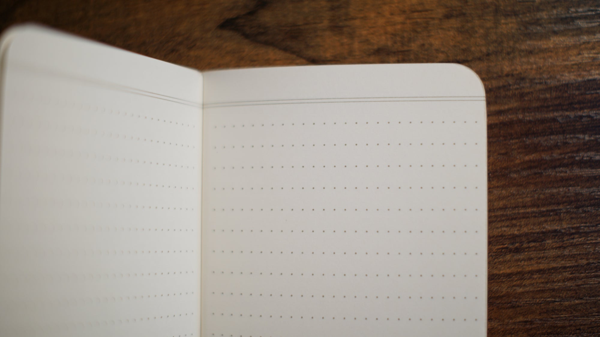 Vintage Field Notes - Dot Graph