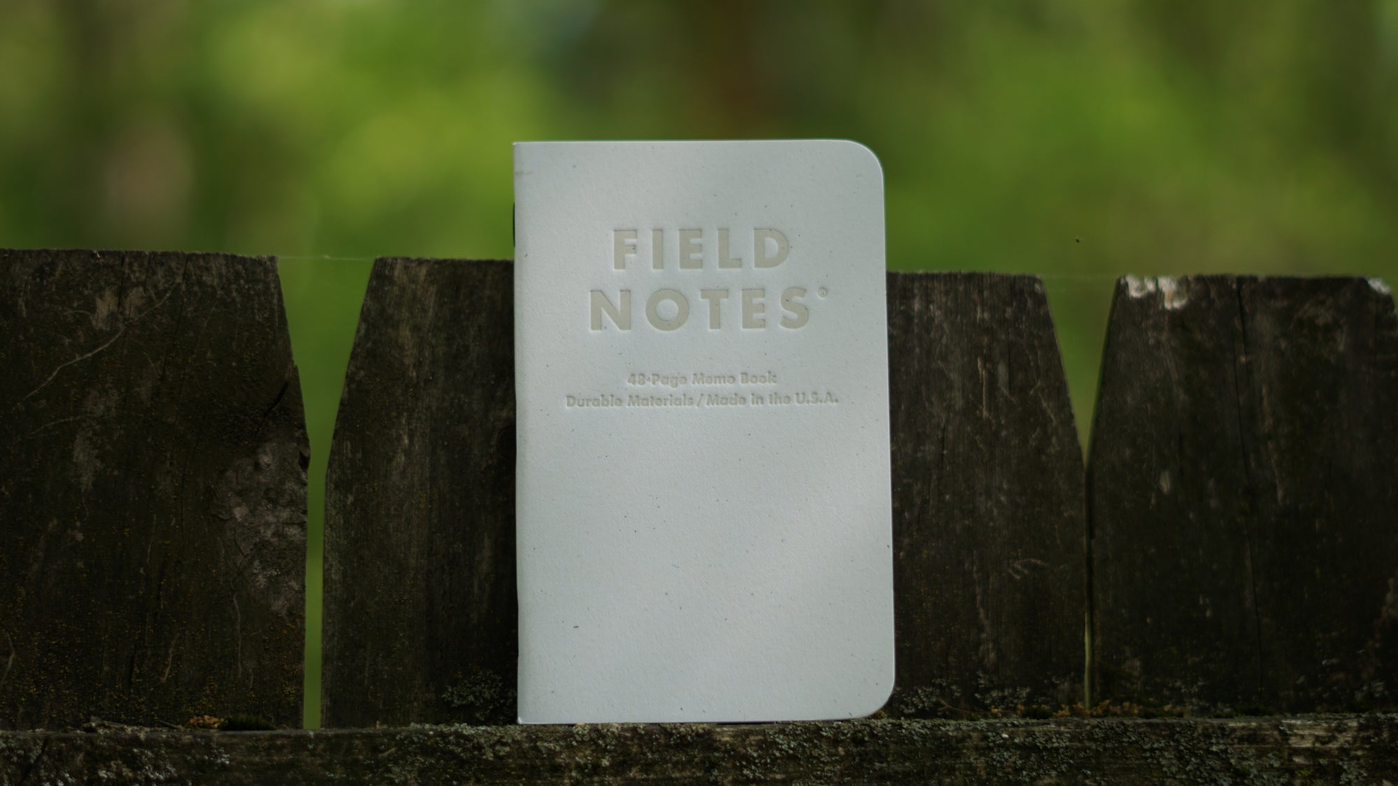 Birch Bark Field Notes on fence
