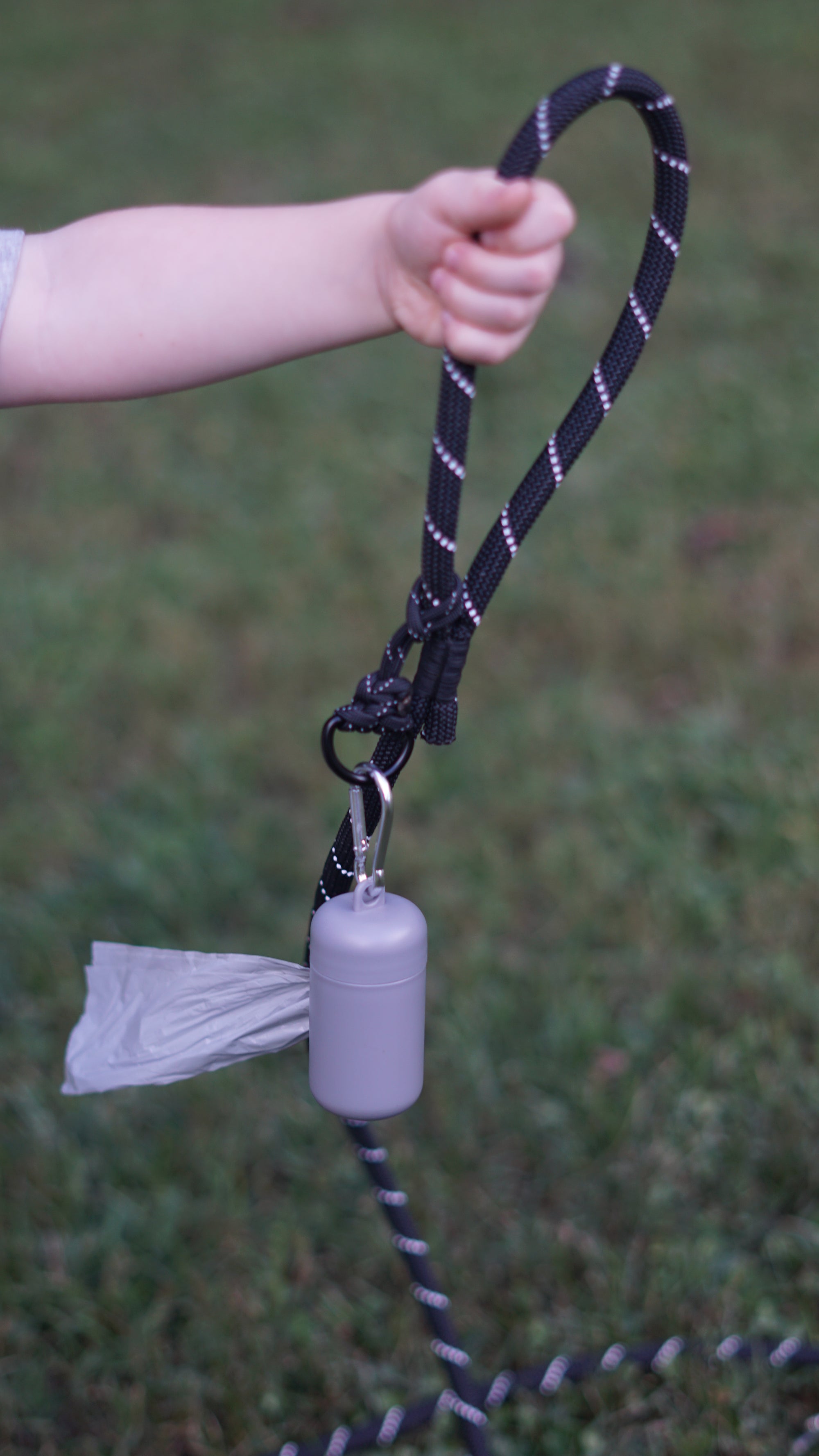 Hand holding a leash with a poo bag holder attached